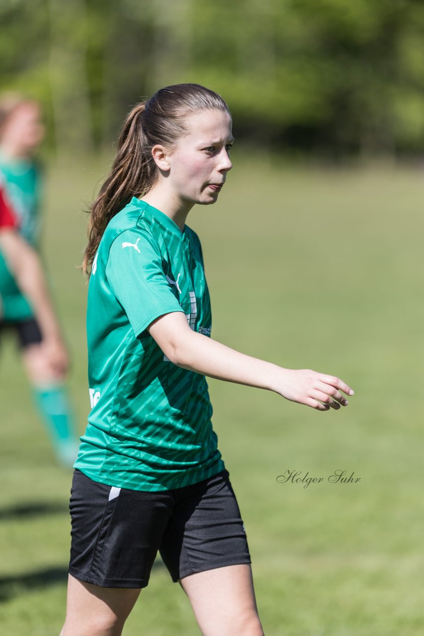 Bild 453 - F SG NieBar - IF Stjernen Flensborg : Ergebnis: 2:0